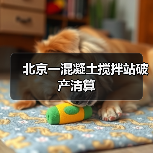 北京一混凝土搅拌站破产清算(图3) 北京一混凝土搅拌站破产清算(图3)
