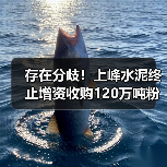存在分歧!上峰水泥终止增资收购120万吨粉磨指标!(图1) 存在分歧!上峰水泥终止增资收购120万吨粉磨指标!(图1)