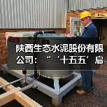 陕西生态水泥股份有限公司：“‘十五五’启新篇，2026 年怎么干”研讨材料展播（一）
