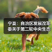宁夏：自治区发展改革委关于第二轮中央生态环境保护督察第7项整改任务验收销号情况公示（图3）
