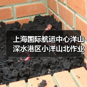 上海国际航运中心洋山深水港区小洋山北作业区集装箱码头及配套工程东区（北区）陆域形成及深层地基处理工程