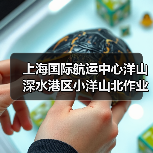 上海国际航运中心洋山深水港区小洋山北作业区集装箱码头及配套工程东区（北区）陆域形成及深层地基处理工程（图3）