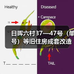 日晖六村37—47号(单号)等旧住房成套改造项目(图4) 日晖六村37—47号(单号)等旧住房成套改造项目(图4)