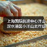 上海国际航运中心洋山深水港区小洋山北作业区集装箱码头及配套工程东区（北区）陆域形成及深层地基处理工程（图4）