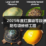 2025年度红旗塘等段堤防专项维修工程（图3）