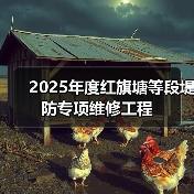2025年度红旗塘等段堤防专项维修工程（图4）