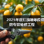 2025年度红旗塘等段堤防专项维修工程（图2）