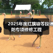 2025年度红旗塘等段堤防专项维修工程