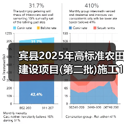宾县2025年高标准农田建设项目(第二批)施工1标段、施工2标段、施工3标段、施工4标段(图4) 宾县2025年高标准农田建设项目(第二批)施工1标段、施工2标段、施工3标段、施工4标段(图4)
