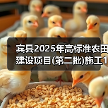 宾县2025年高标准农田建设项目(第二批)施工1标段、施工2标段、施工3标段、施工4标段(图2) 宾县2025年高标准农田建设项目(第二批)施工1标段、施工2标段、施工3标段、施工4标段(图2)