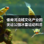 倭肯河流域文化产业园奥运公园冰雪运动科普展厅项目EPC项目(图2) 倭肯河流域文化产业园奥运公园冰雪运动科普展厅项目EPC项目(图2)