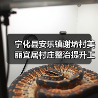宁化县安乐镇谢坊村美丽宜居村庄整治提升工程（图2）