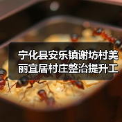 宁化县安乐镇谢坊村美丽宜居村庄整治提升工程