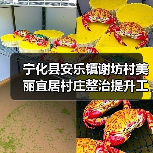 宁化县安乐镇谢坊村美丽宜居村庄整治提升工程（图4）