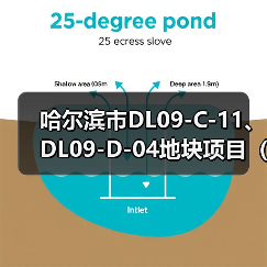 哈尔滨市DL09-C-11、DL09-D-04地块项目（B座）装饰工程施工（图3）