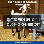 哈尔滨市DL09-C-11、DL09-D-04地块项目（B座）装饰工程施工（图2）