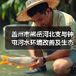 盖州市熊岳河北支与钟屯河水环境改善及生态修复工程设计施工总承包（EPC） 招标公告（图2）