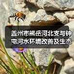 盖州市熊岳河北支与钟屯河水环境改善及生态修复工程设计施工总承包（EPC） 招标公告