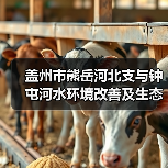 盖州市熊岳河北支与钟屯河水环境改善及生态修复工程设计施工总承包（EPC） 招标公告（图3）