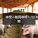 中交一航局中标7.7亿大单（图4）