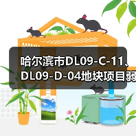 哈尔滨市DL09-C-11、DL09-D-04地块项目弱电工程施工（图4）
