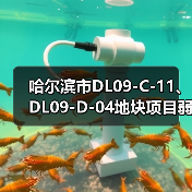 哈尔滨市DL09-C-11、DL09-D-04地块项目弱电工程施工（图3）