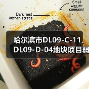 哈尔滨市DL09-C-11、DL09-D-04地块项目弱电工程施工