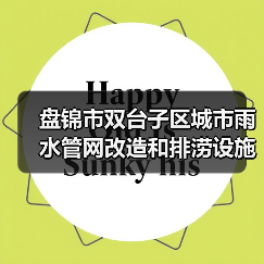盘锦市双台子区城市雨水管网改造和排涝设施提升工程一标段 招标公告（图3）