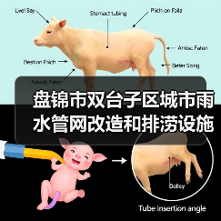 盘锦市双台子区城市雨水管网改造和排涝设施提升工程一标段 招标公告（图4）