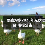 要路沟乡2025年光伏项目 招标公告（图3）