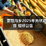 要路沟乡2025年光伏项目 招标公告