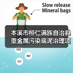 本溪市桓仁满族自治县重金属污染底泥治理项目EPC总承包 招标公告（图2）