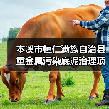 本溪市桓仁满族自治县重金属污染底泥治理项目EPC总承包 招标公告
