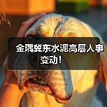 金隅冀东水泥高层人事变动！（图2）