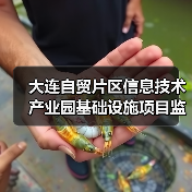 大连自贸片区信息技术产业园基础设施项目监理 招标公告（图4）