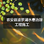 农安县波罗湖水患治理工程施工（图2）