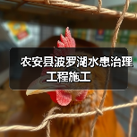 农安县波罗湖水患治理工程施工（图3）