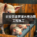 农安县波罗湖水患治理工程施工