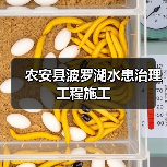 农安县波罗湖水患治理工程施工（图4）