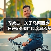 内蒙古：关于乌海西水日产5300吨和喀喇沁草原水泥日产5367吨水泥熟料生产线补充产能置换方案的公告（图2）