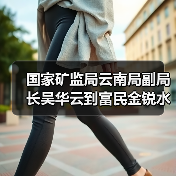 国家矿监局云南局副局长吴华云到富民金锐水泥建材有限责任公司开展矿山安全巡查（图4）