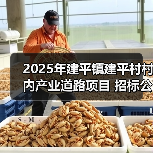 2025年建平镇建平村村内产业道路项目 招标公告（图4）