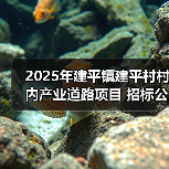 2025年建平镇建平村村内产业道路项目 招标公告（图3）
