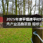 2025年建平镇建平村村内产业道路项目 招标公告（图2）