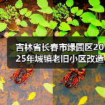 吉林省长春市绿园区2025年城镇老旧小区改造建设项目监理（六标段至九标段）招标公告（图4）