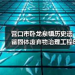 营口市卧龙泉镇历史遗留固体废弃物治理工程EPC总承包 招标公告（图3）