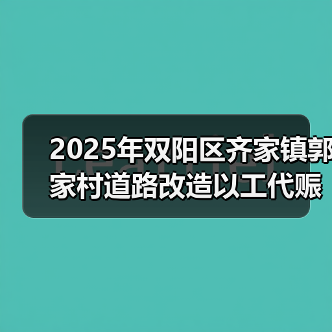 2025年双阳区齐家镇郭家村道路改造以工代赈示范工程中央预算内投资项目 招标公告（图2）