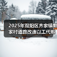 2025年双阳区齐家镇郭家村道路改造以工代赈示范工程中央预算内投资项目 招标公告（图4）