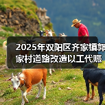 2025年双阳区齐家镇郭家村道路改造以工代赈示范工程中央预算内投资项目 招标公告（图3）