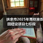 扶余市2025年高标准农田建设项目七标段（图4）
